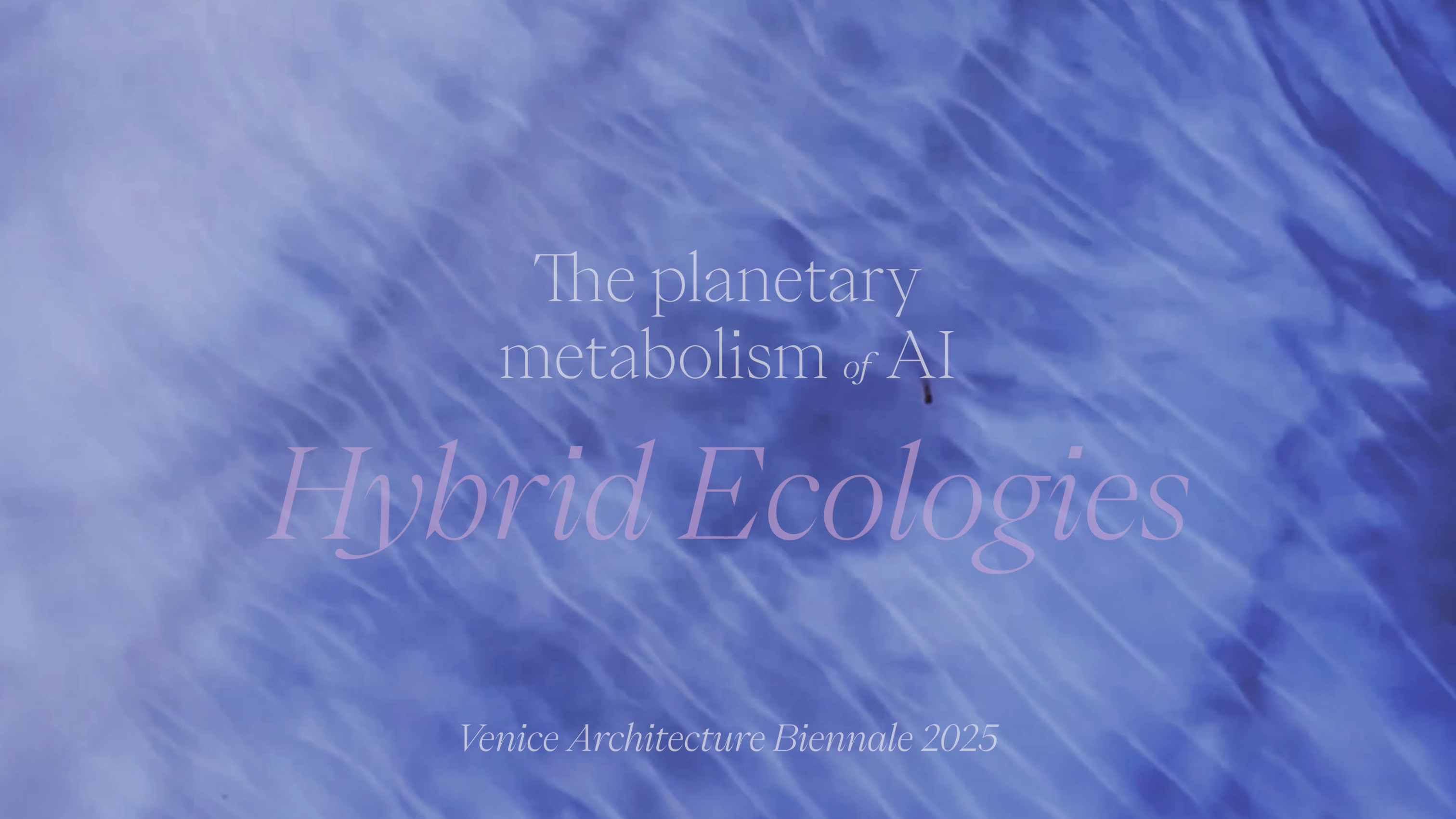 Captura de pantalla 2025-08-25 a la(s) 9.43.11 p.m.